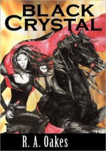 9780615620886_p0_v1_s260x420